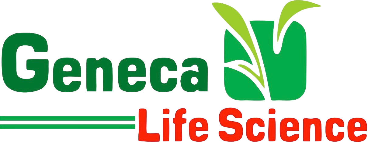 Dna logo design biology science gene life Vector Image
